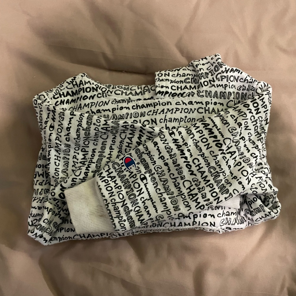 Champion hoodie